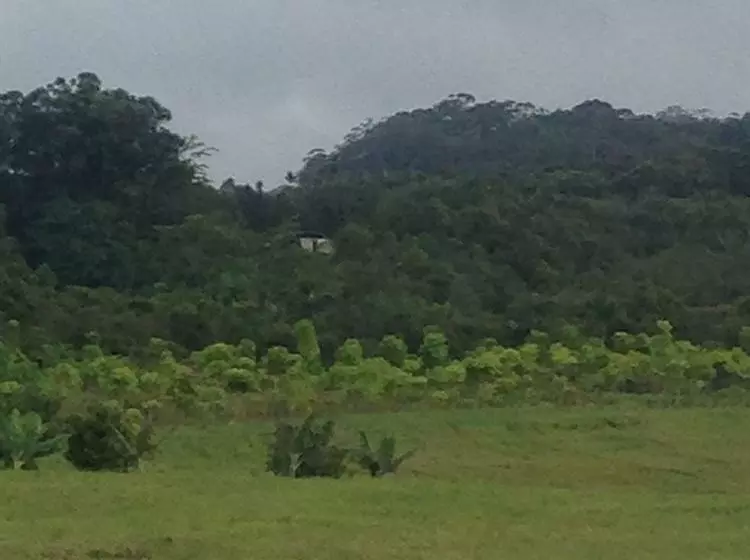 Hawaiian Hideaway At Akaka Falls