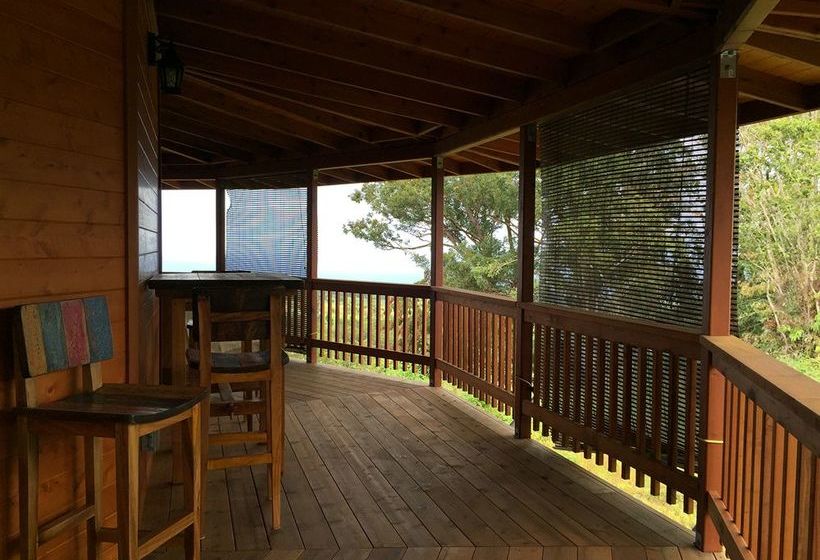 Hawaiian Hideaway At Akaka Falls