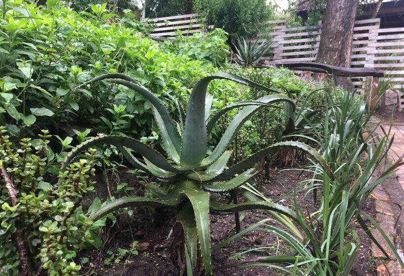 פנסיון 30 On Oatlands Road