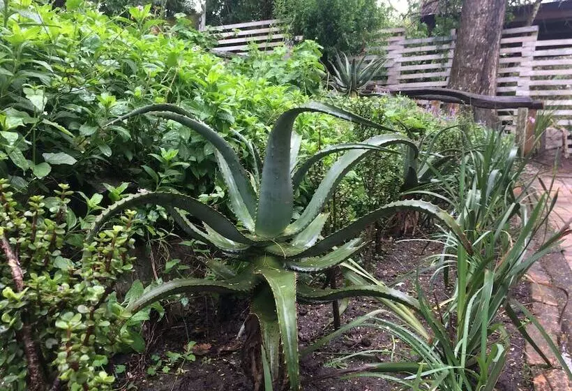 Pensjonat 30 On Oatlands Road