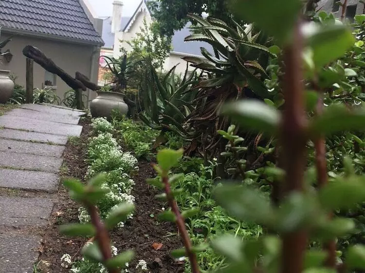 Pensjonat 30 On Oatlands Road