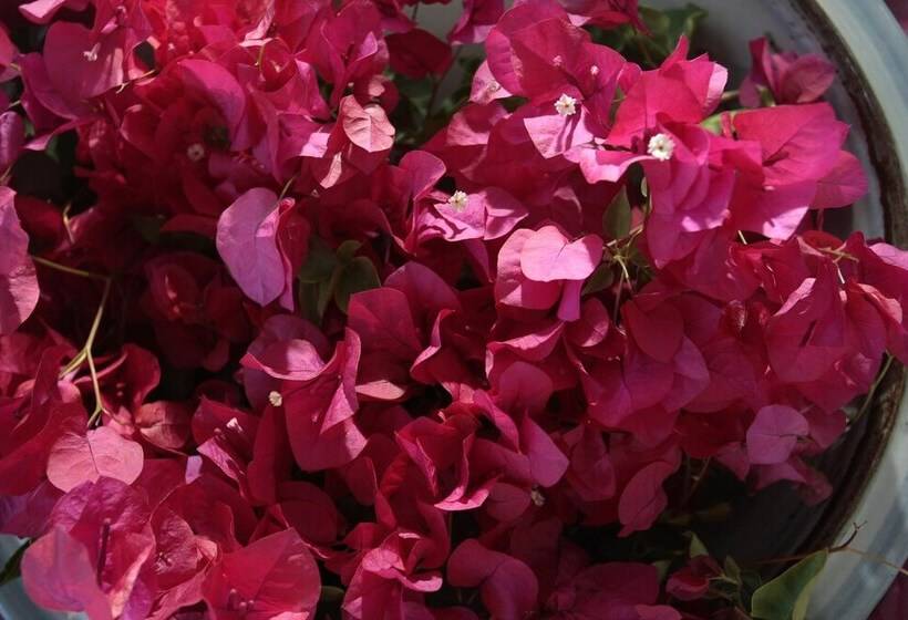 Пансион Bella Ev Guest House