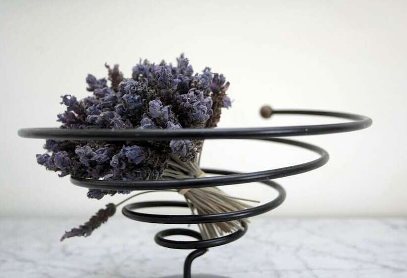 Пансион Bella Ev Guest House