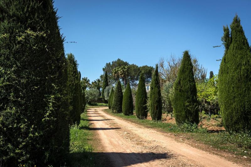 پانسیون Finca Son Miranda