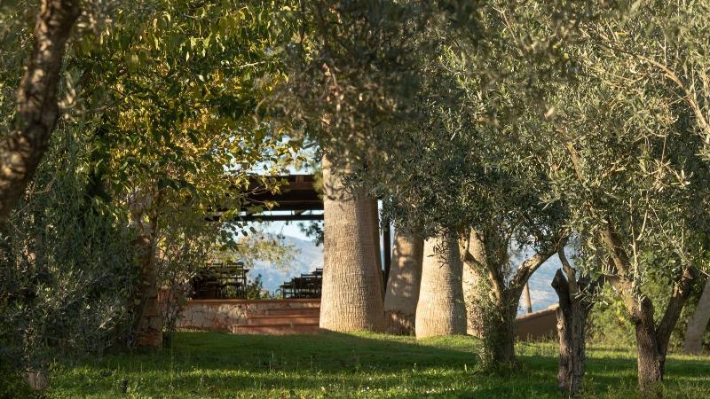 پانسیون Finca Son Miranda