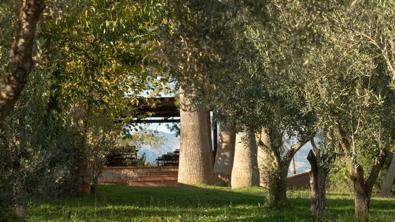 펜션 Finca Son Miranda