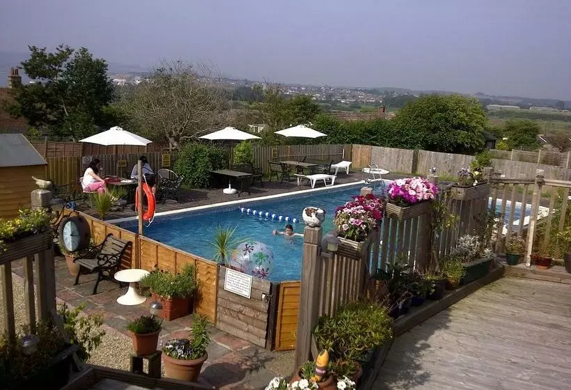 住宿加早餐  Sandown Manor