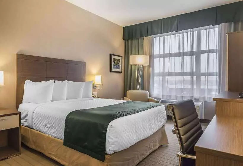 호텔 Quality Inn Sept Iles