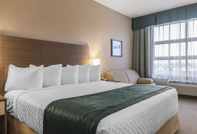 בית מלון כפרי Quality Inn Sept Iles