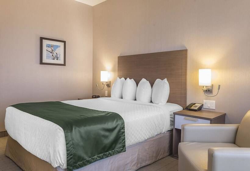 בית מלון כפרי Quality Inn Sept Iles