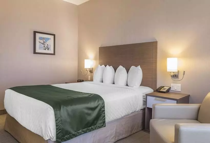 호텔 Quality Inn Sept Iles