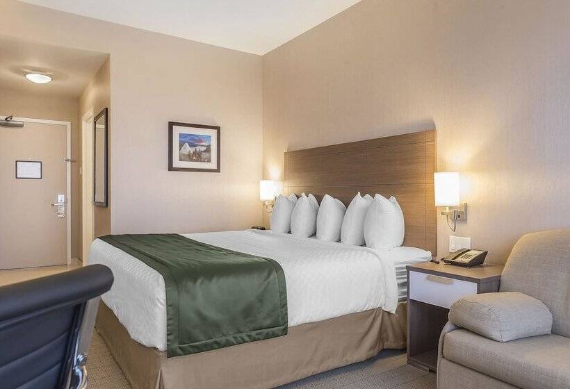 בית מלון כפרי Quality Inn Sept Iles