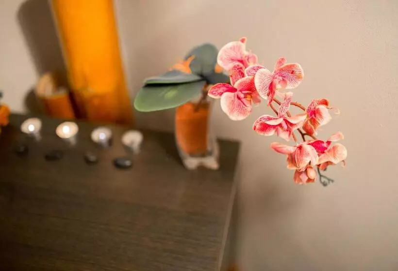 هتل Tana Boutique Hôtel