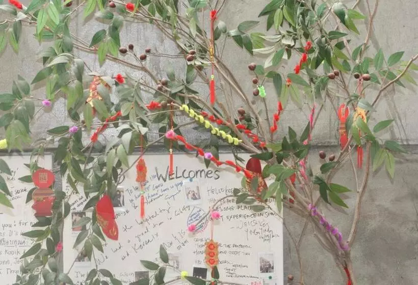 Pensiune Crib 49 Guesthouse Foreigner Only