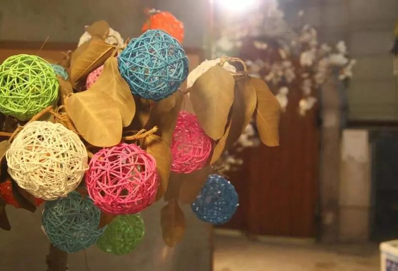 Pensiune Crib 49 Guesthouse Foreigner Only