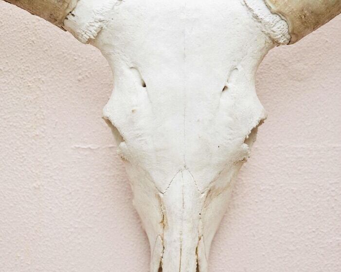 פנסיון The Big   Luxury Backpackers