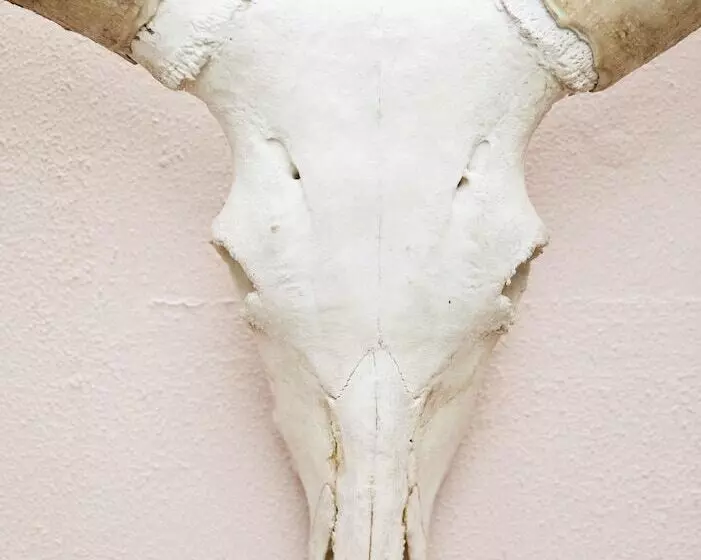 펜션 The Big   Luxury Backpackers