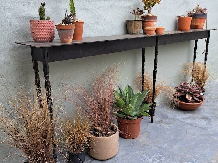 פנסיון The Big   Luxury Backpackers