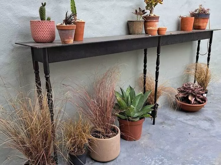 펜션 The Big   Luxury Backpackers