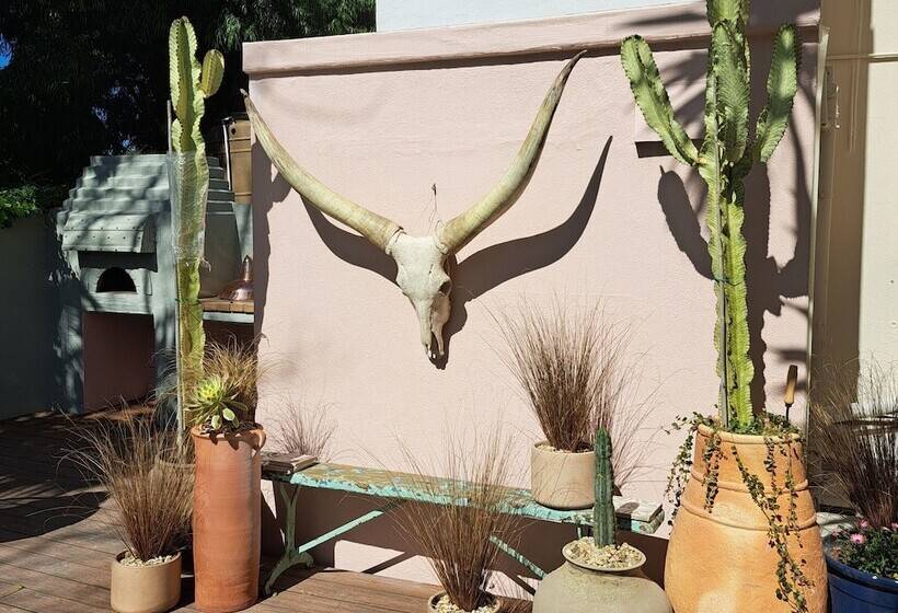 פנסיון The Big   Luxury Backpackers