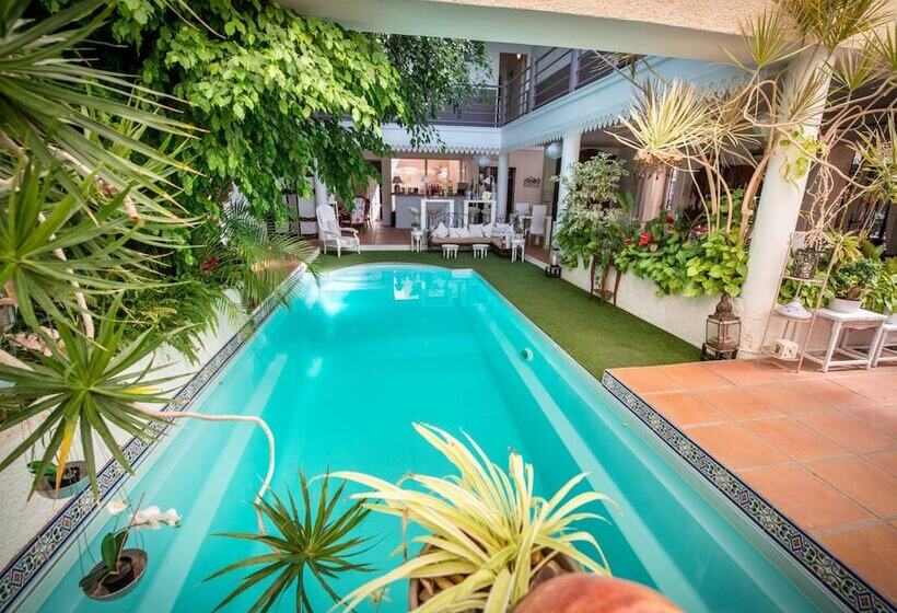 펜션 Chambre D Hôtes Villa Ambrosia