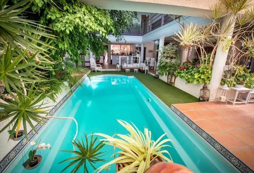 פנסיון Chambre D Hôtes Villa Ambrosia