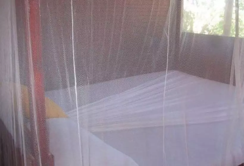 استراحتگاه Little Pumpkin Cabanas