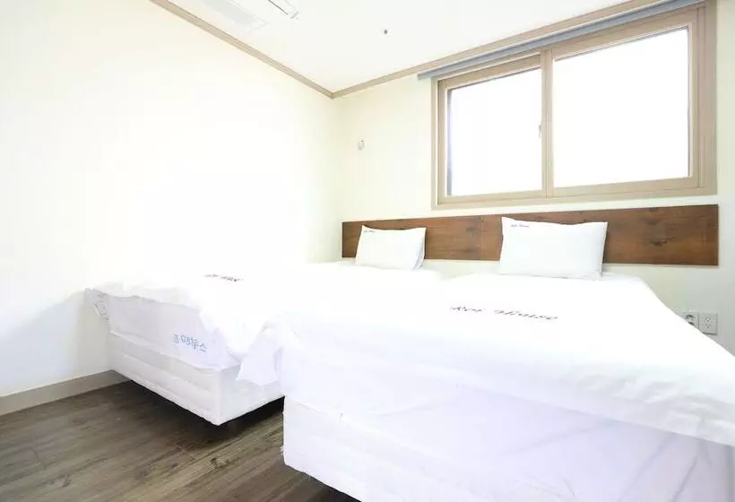 ユースホステル Roi Guesthouse