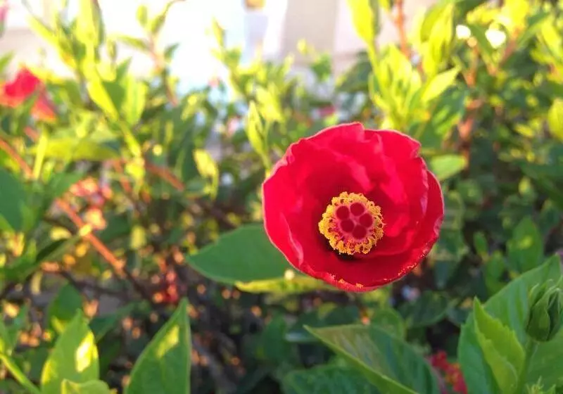 호텔 Complexe Touristique Sidi Salem