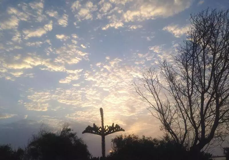 호텔 Complexe Touristique Sidi Salem