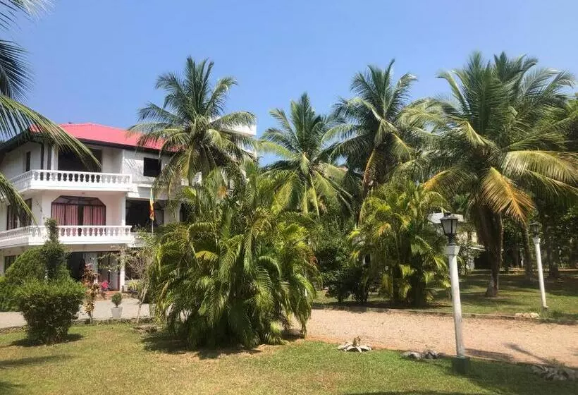 Hotel Lagoon Paradise