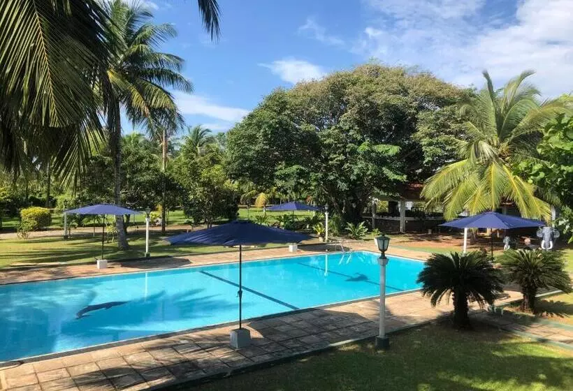 Hotel Lagoon Paradise