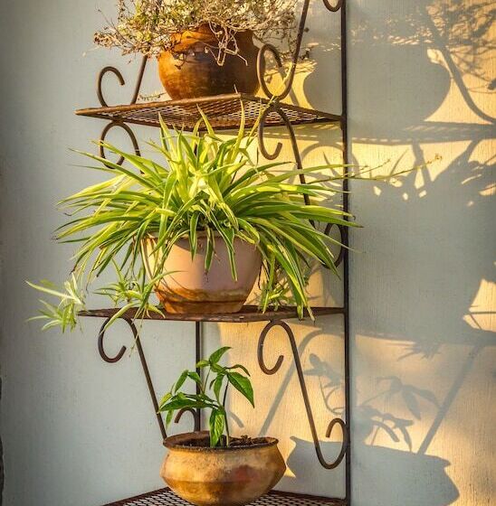 ホテル Mbizi Bush Lodge