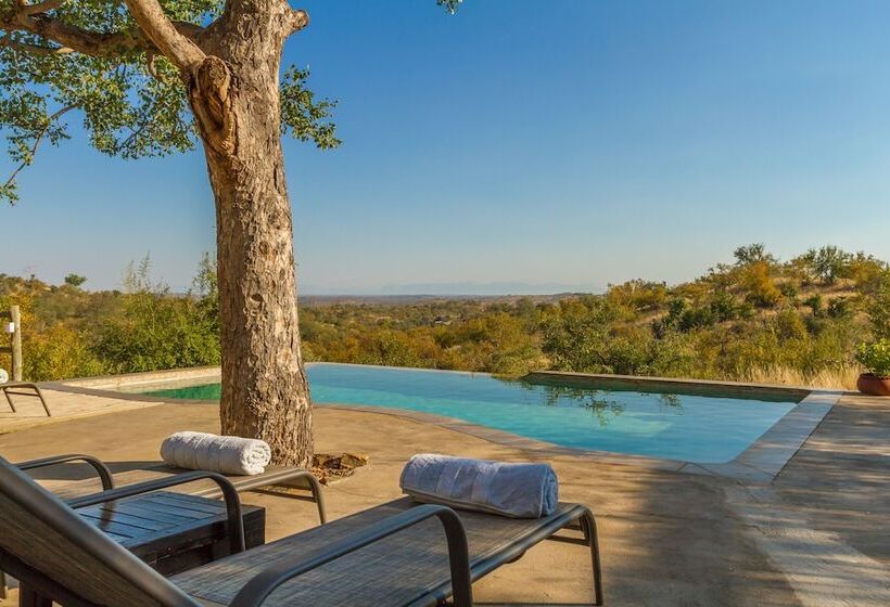 ホテル Mbizi Bush Lodge
