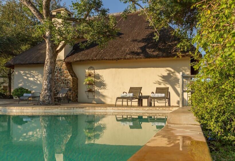 ホテル Mbizi Bush Lodge