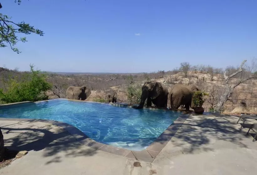 هتل Mbizi Bush Lodge