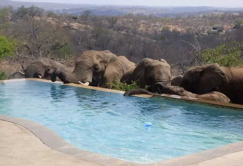 هتل Mbizi Bush Lodge