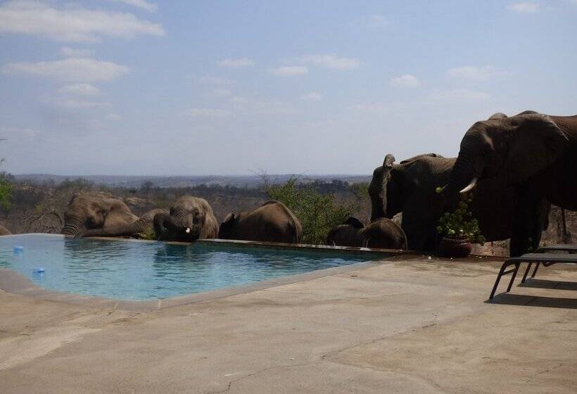 ホテル Mbizi Bush Lodge