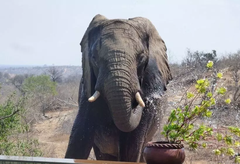 هتل Mbizi Bush Lodge