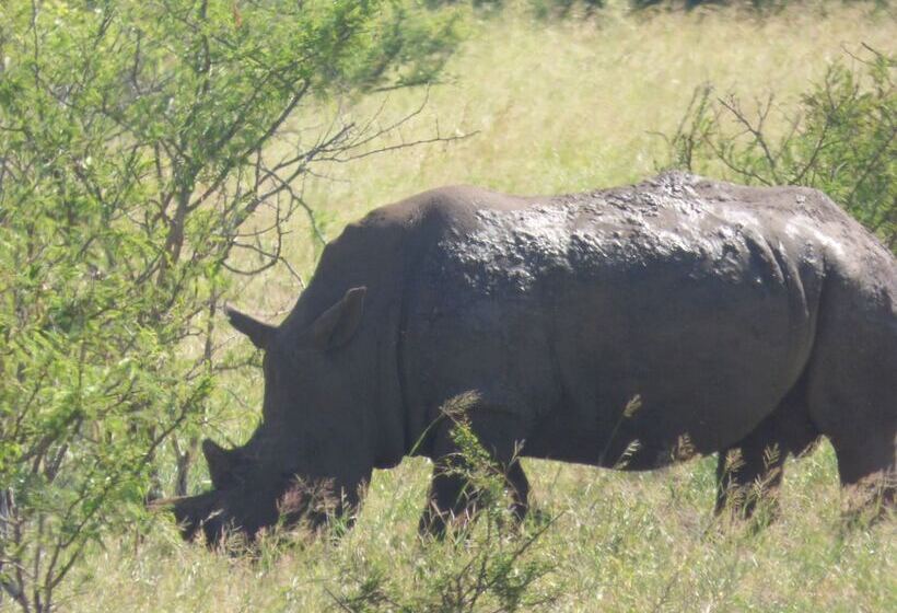 ホテル Mbizi Bush Lodge