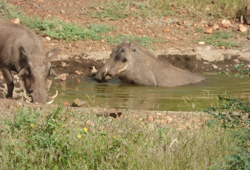ホテル Mbizi Bush Lodge
