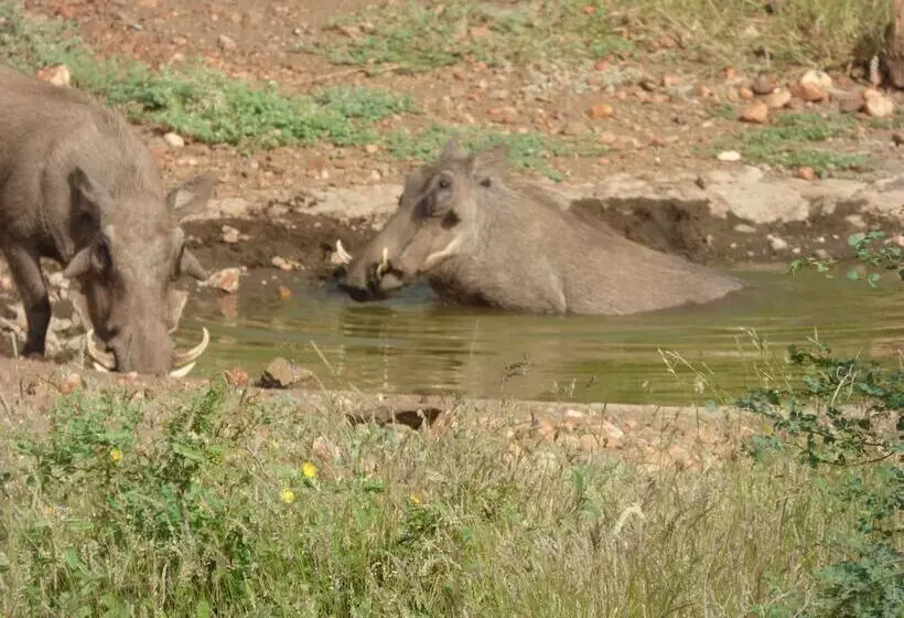 هتل Mbizi Bush Lodge