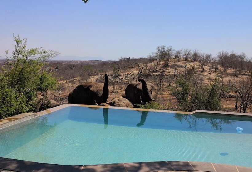 ホテル Mbizi Bush Lodge