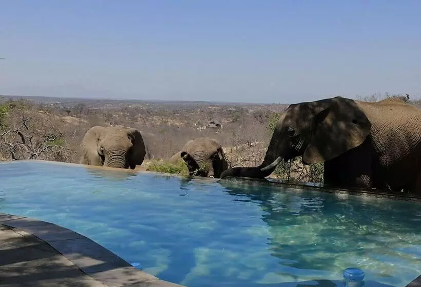 هتل Mbizi Bush Lodge