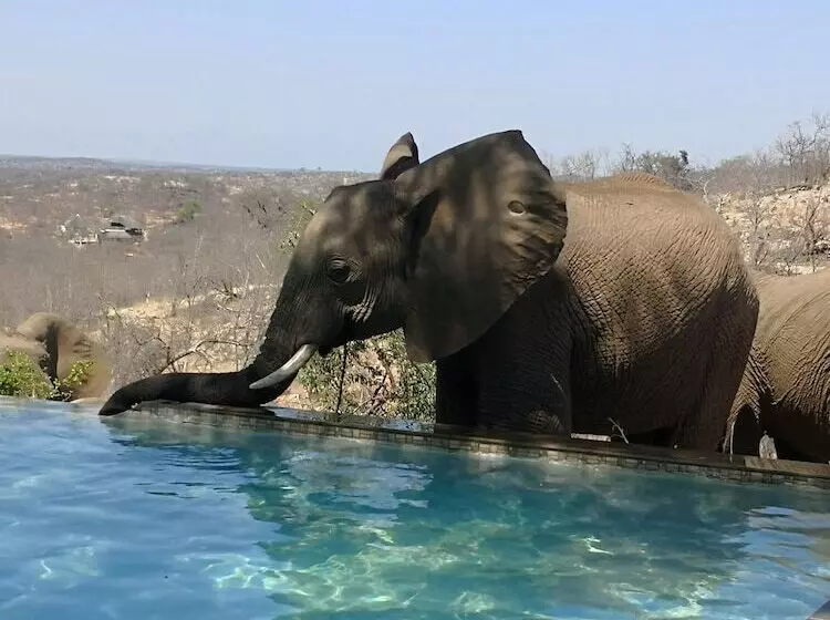 هتل Mbizi Bush Lodge