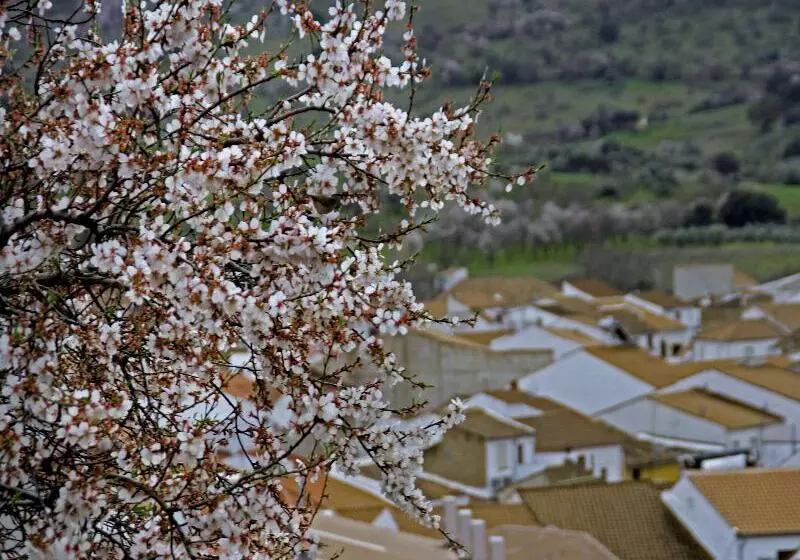 교외 호텔 Las Monteras