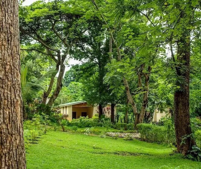 پانسیون Villa 33