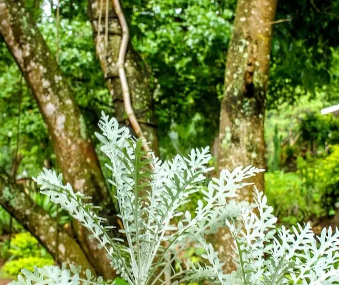 پانسیون Villa 33