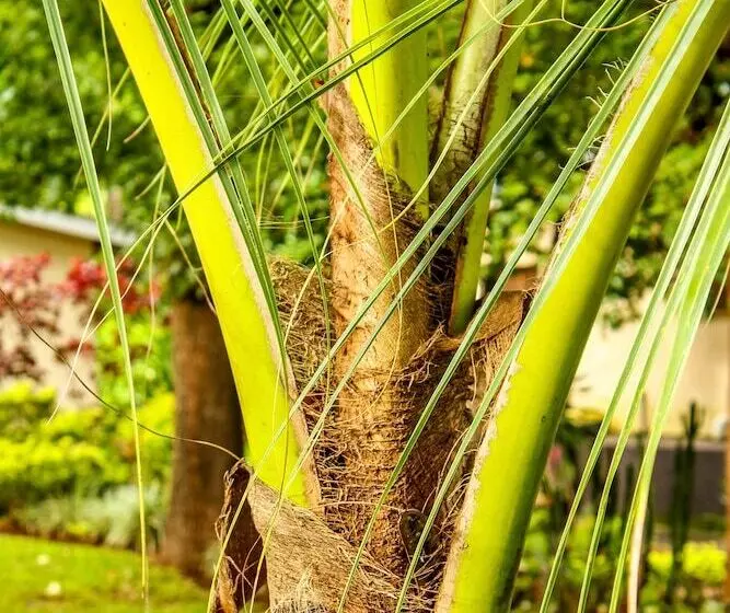 پانسیون Villa 33