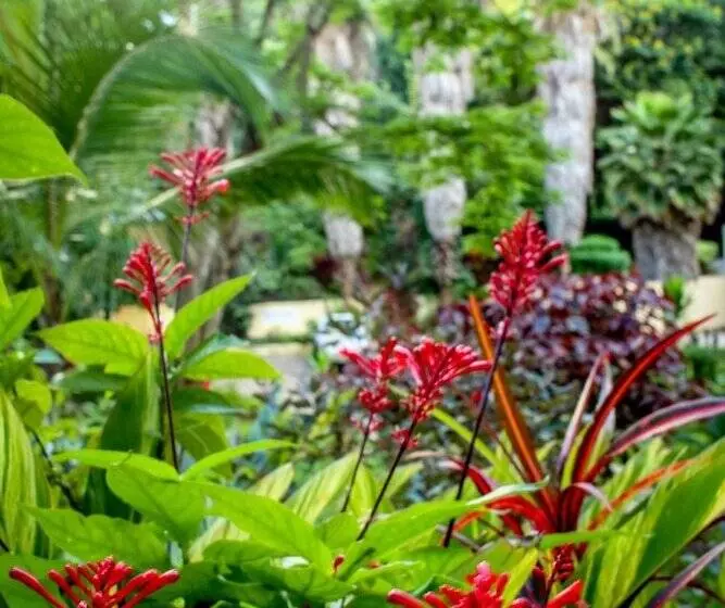 پانسیون Villa 33